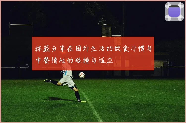 林葳分享在国外生活的饮食习惯与中餐情结的碰撞与适应