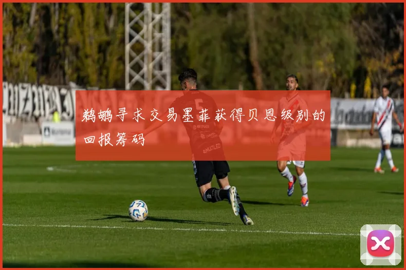 鹈鹕寻求交易墨菲获得贝恩级别的回报筹码