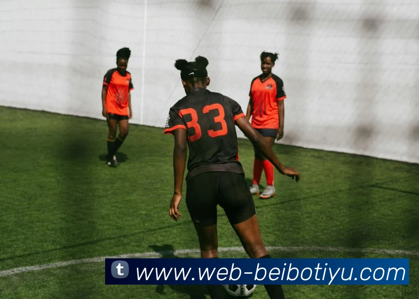 贝博体育发展历程